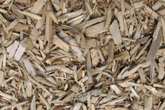 biomass boilers Ash Magna